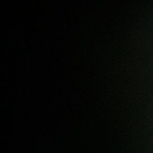 Meet your Posher, Ricky